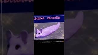 Мышка-Сосиска (Мем)