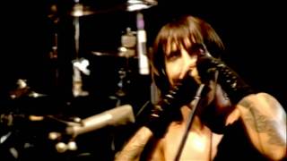Watch Red Hot Chili Peppers Purple Stain video