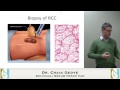 KCC Mtg 2013-04-04 - Understanding Your Pathology - Dr. Craig Gedye