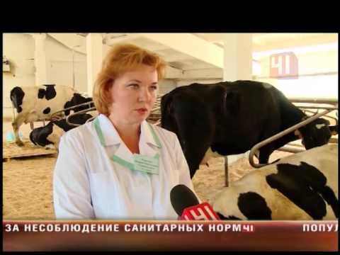 Стих мамочку поздравим Стих мамочку поздравим