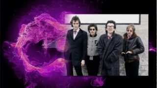 Watch Elvis Costello Goon Squad video