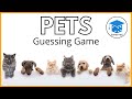 Pets In English | Guessing Game
