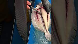 Ever Wondered Whats Hidden Inside A Flatfish? Watch This