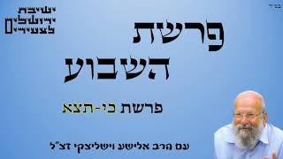 הרב אלישע וישליצקי | פרשת כי-תצא | ישל"צ