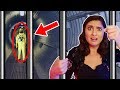 TRAPPED in an ABANDONED SPY LABORATORY (Top Secret Escape Room Challenge with SPY GADGETS)