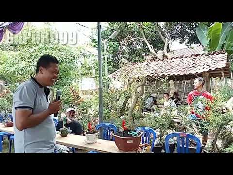 LATBER DI MBRUMBUN, WUNGU MADIUN