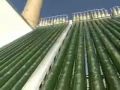 MIT Algae Photobioreactor