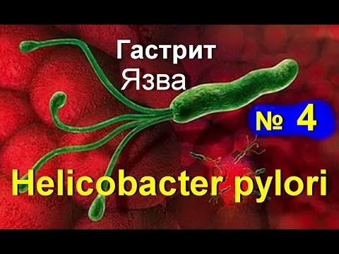 Тест на хеликобактер пилори в домашних условиях