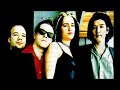 The Dambuilders - Copsucker