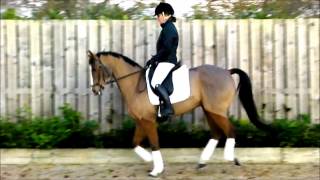 Kingswalk Moonraker