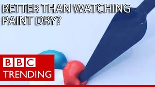 Better than watching paint dry?