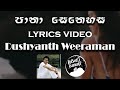 Pana Senehasa (පානා සෙනෙහස) - Dushyanth Weeraman [lyrics video]