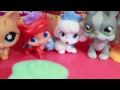 ARIEL & CINDERELLA give Mattel PALACE PETS on a date with Littlest Pet Shop Play-Doh klip izle