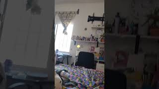 Ala Vestía