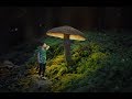 Glowing Mushroom Photoshop Fantasy Manipulation Tutorial