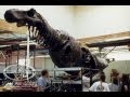 JURASSIC PARK T-Rex - Part 2 - Building an Animatronic Dinosaur