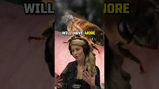 The Lifespan Of Honeybees Uncovered By Erika Thompson On Joe Rogan Experience