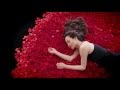 松田聖子 - 「薔薇のように咲いて 桜のように散って」ミュージックビデオ(Sh...