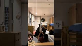 Wedgie