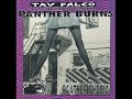 Streamline Train - Tav Falco & The Panther Burns