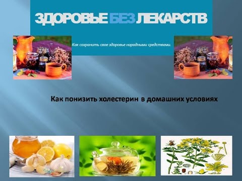 Желчегонное средство в домашних условиях Желчегонное средство в домашних условиях