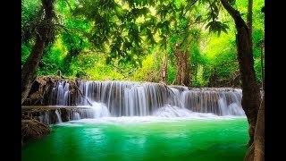 🔴 Study Music 24/7: Concentration Music, Relaxing Music, Sleep Music, Meditation Music