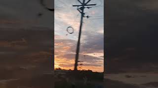 Travel Videomorning Viewroad Trip