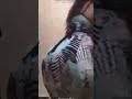 مكوه