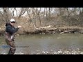 rainbowtrout
