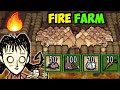 Ultimate Fire Farm (100 Meat in 13 Seconds) in Don't Starve Together