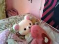my sweet room ♥ YURIKO