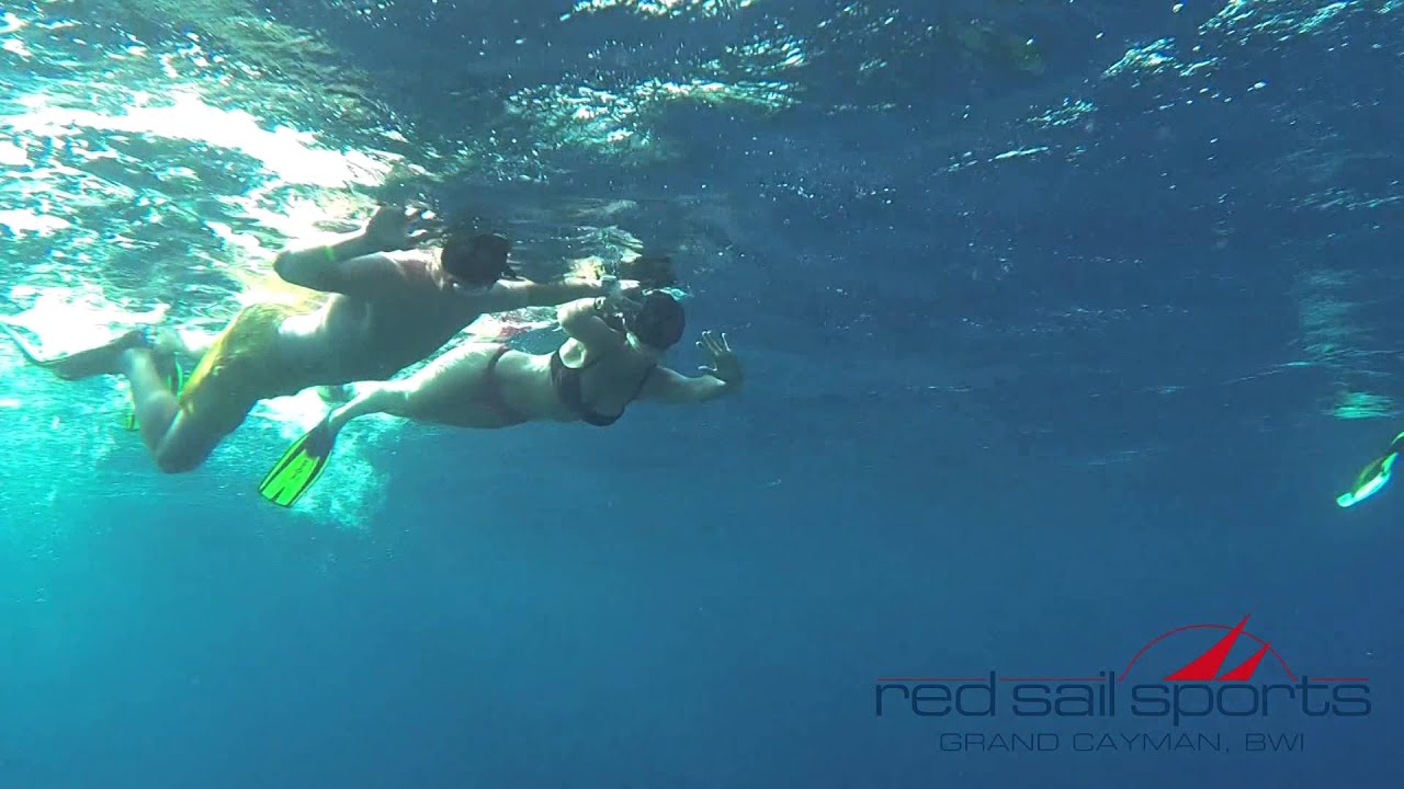 Bienvenido a Red Sail Sports Caimán Bienvenido a Red Sail Sports Caimán
