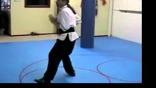 Fei Lung Kung Fu Fu Shin Yi