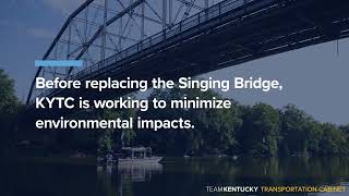 Mussels Survey Under The Singing Bridge