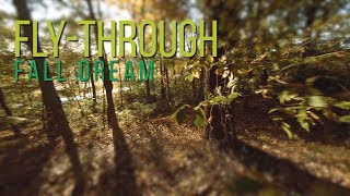 Fly-Through "Fall Dream"
