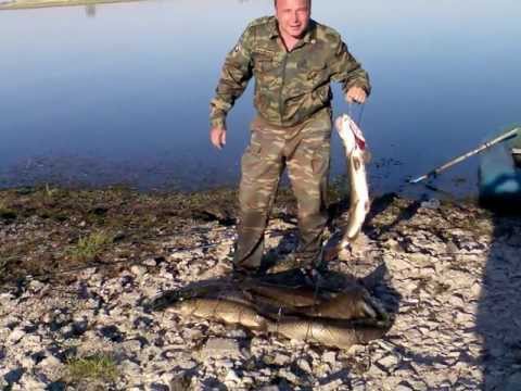 рыбалка в саратове район рыбалка в саратове район