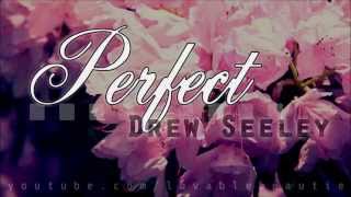 Watch Drew Seeley Perfect video