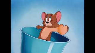 Tom And Jerry Jerrys Heart