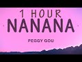 Peggy Gou - Nanana (It Goes Like) (Lyrics) | 1 HOUR
