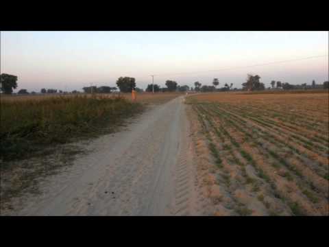 pakistani punjabi dog fight race bandial khushab sargodha mianwali...