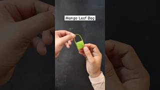 How To Make Mango Leaf Bags For Kids Play Make Amazing Mango Leaf Bags