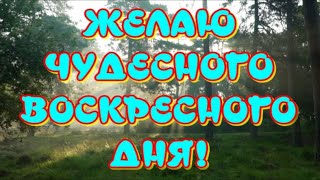 Желаю Чудесного Воскресного Дня🥰Прекрасного Настроения🎶Очень Красивая Музыкальная Открытка