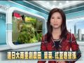 20111113-公視中晝新聞-連日大雨重創農田葉菜.紅豆應聲漲