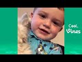 Try Not To Laugh Challenge - Funny Cat & Dog Vines compilation 2017