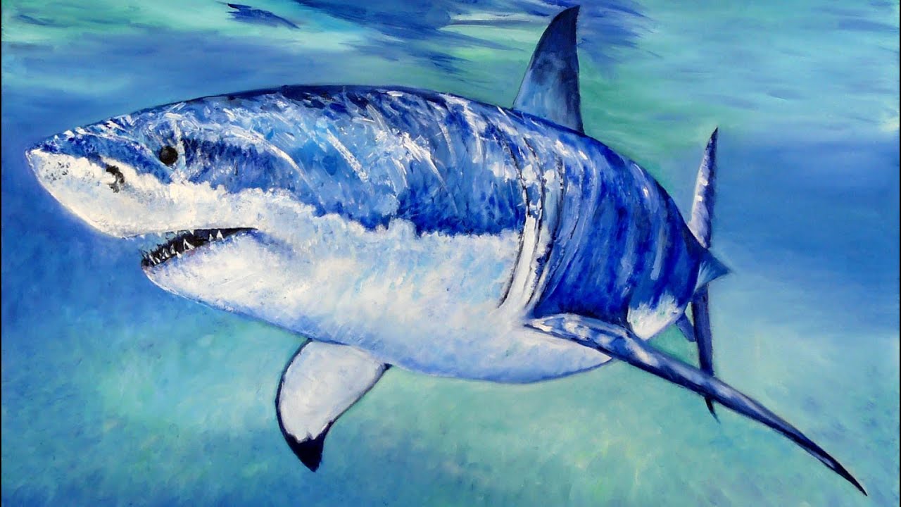 Great White Shark Speed Painting - YouTube