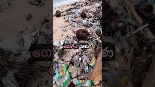 Me Vage Video Balanna Apiva Subscribe Karala Thiya Ganna .L Traka