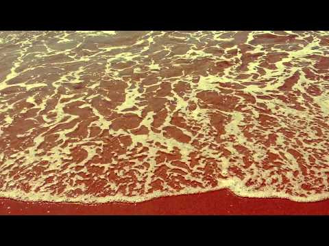 The Day Goes "Disposable Touch - Improvisation"