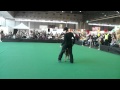 27.11.2010 Wien Kl1.MP4
