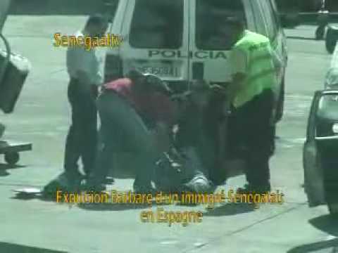 SENEWEB News Multimedia x264