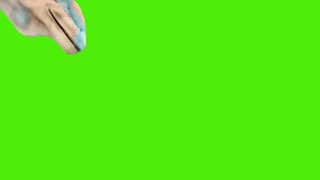 Dino Dan Diplodocus Green Screen